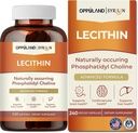 Lecithine-240 Softgels-supporte la santé cérébrale