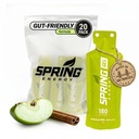 Spring Energy - Sauce Awesome - Cinnamon Gel de tarte à la pomme (Vegan) 180 Kcal - 20 Pack (20 Pack, Sauce Awesome)