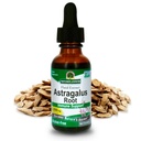 Antwoord van de natuur Astragalus Root Alcohol Gratis Kruidensupplement 1 Ounce ( 2 Pack ) Immuun Ondersteuning 