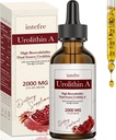 Urolithine Une goutte liquide 2000mg, Urolithine Un supplément avec extrait de grenade, complexe Vita-Age, soutient le vieillissement en santé et la réparation cellulaire, 60ml