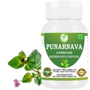 Punarnava-capsules (Boerhaavia Diffusa) 500mg 