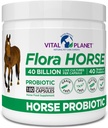 Vital Planet - Flora Horse Probiotic, High Potency Equine Probiotics with Prebiotics, 40 Miljard Live CFU from Multiple Strains, Digestive and Immune Support, 180 Delayed Release Capsules (180 Days)