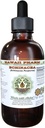 Hawaii Pharm Echinacea Alcoholvrije vloeibare Extract, Echinacea (Echinacea Purpurea) Gedroogde Wortel Glyceriet Natuurlijke Kruidensupplement 2 oz