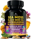 Capsules de mousse de mer – Mélange 17-en-1 avec l'huile de graines noires Ashwagandha Bladderwrack Root Turmeric Vitamine D3 K2 C pour le mieux-être quotidien – Supplément multiminéral pour les hommes et les femmes – 120 Compte