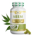 Biologische Veda Neem Capsules, 1000mg - Biologische Kruidensupplement Gemaakt met Ayurvedische India Neem Leaf Powder - Ondersteunt Radiante Huid, Immune, Detox, Gezonde Ontvlammingsrespons - 120 Veggie Capsules