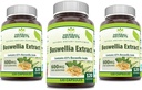Secrets à base de plantes Boswellia Serrata Extract (65% d'acides boswelliques) 600 mg Capsules Supplement (sans OGM) Sans gluten (120) 3 Pack