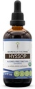 Hyssop USDA Organisch 