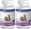 Vitamines pour le système immunitaire des chats - Ultra Vitamines pour les chats - Préparation de minéraux et de vitamines sains - Mâches - Supplément de calcium pour chat - 2 bouteilles (180 gâteries)