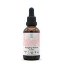 Stinging Nettle Leaf USDA Organic Alcohol-Free Extract 