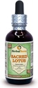 Lotus (Nelumbo nucifera) Glyceriet, gedroogde meeldraden Alcoholvrij vloeibaar extract (Grote naam: HerbalTerra, Trots Made in USA) 2 fl.oz (60 ml)