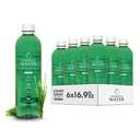 Chlorofyl Water 