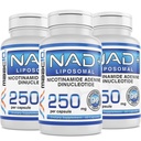 MAAC10 Liposomale NAD+ (180 x 250 mg Capsules) 