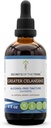Secrets of the Tribe Greater Celandine Alcohol-Free Liquid Extract, Greater Celandine (Chelidonium Majus) Tincture Supplement (4 FL OZ)
