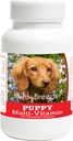 Gezonde Ras Dachshund Puppy Honden Multivitamine Tablet 60 Tel.