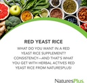 NaturesPlus Herbal Actives Red Gist Rice - 120 Vegetarian Capsules, Verpakking van 2 - Maximale Potentie Kruidensupplement - Glutenvrij - 240 Totaal porties