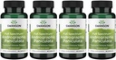 Swanson Full Spectrum Andrographis Paniculata 400 Milligrammen 60 Capsules (4 Pack)