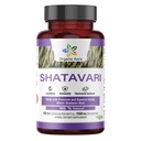 Shatavari Root Powder Capsules. Original and Whole Root Herbal Supplement. Daily Women's Wellness & Vitality Support. Pure, Safe & Minimally Processed. Veg Capsules - No Fillers or Additives.