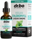 Chlorofyl Liquid Drops Body Detox - Vegan Liquid Chlorofyl Drops Odor Cleanse Supplement, Energie & Immune Support, Interne Deodorant, Body Deodorizing Supplement - Natural Deodorant Water 2 oz