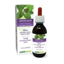 Naturalma Citroenbalsem (Melissa-sspaan) Leaf Alcoholvrije tinctuur - 4 fl oz Liquid Extract in druppels - Kruidensupplement - Veganistisch