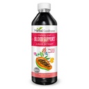 Papaya Leaf Blood Support Liquid - 15X Sterkte - Papaya Leaf Extract - gezonde bloedplaatjes, bloedreiniging, spijsvertering, Papaya Enzyme -12oz Liquid - Herbal Goodness (1 bttl)