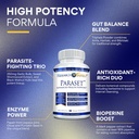 Research Verified Paraset - 120 Capsules - Natural Gut Health Enhancer - Garlic Bulb, Papain, Sweet Wormwood, Black Walnut, BioPerine - Vegan