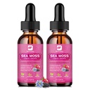 B BEWORTHS Sea Moss Liquid Drops - Black Seed Oil & Irish Sea Moss Gel with Burdock Root Bladderwrack, Elderberry, Spirulina, Seamoss Supplement for Energy Booster, Digestive Health - 4 Fl Oz, Vegan