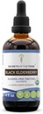 Aileron noir Teinture biologique USDA Extrait d'alcool-FREE, gouttes à base de plantes à haute puissance, santé du système immunitaire