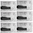 30.000 MG shilajit tabletten, 100% shilajit pure, Himalaya biologische, shilajit voor mannen en vrouwen rijk aan fulvinezuur & 85+ Trace Minerals, Shilajit Supplement for Energy & Immune System, 360 Tel.