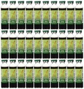 Prins van Vrede Rode Panax Ginseng Extractum Ultra Strength 30 Vial(s)