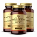 Solgar méthylcobalamine (Vitamine B12) 5000 mcg, 60 Nuggets (paquet de 3) - Saveur de cerise - soutient le métabolisme énergétique - corps prêt, forme active - non-OGM, végétalien, sans gluten - 180 portions totales
