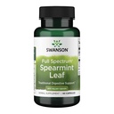 Swanson Spearmint Leaf (Mentha Spicata) - Full Spectrum Kruidensupplement ter ondersteuning van spijsverterings- en milde maagproblemen - Natural Formula Supporting Health & Wellness - (60 capsules, 400 mg elk)