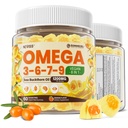 Omega 3-6-7-9 Gummies, Biologische Zee Buckthorn Oil 1200MG & Vlaszaadolie 500MG, Vegan Omega 7 Supplement w/Vitamine A, C, E, Vetzuren, Geen Vis Smaak, Ondersteunt Huid, Oog, Immuun, Hersengezondheid, 60 Ct