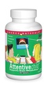 Source Naturals Attentive Child - Nutriments cognitifs sains pour les enfants actifs - Accent et attention améliorés avec DMAE, Magnésium, Zinc et Extrait de graines de raisin - 60 comprimés
