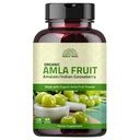 Amla Capsules (Phyllanthus Emblica) – Amalaki amla 120 Capsules | Natural Antioxidants Superfood | Herbal Supplement Made with Organic Amla Fruit Powder