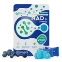 NIUSISE NAD Gummies Sugar Free, NAD+ Supplement with Liposomal Nicotinamide Riboside, Resveratrol, Quercetin, NAD Supplement for Anti-Aging, Energy, Cellular Health, Blueberry Flavor, 60 Gummies