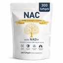 The Standard Lab NAC 600mg, NAC Supplement 600mg with NAD+ & Coconut Oil, 300 Softgels, N-Acetyl L-Cysteine Supplement, Nicotinamide Support for Women & Men, Non-GMO, Gluten Free
