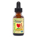 KINDLIFE ESSENTIËLES Echinacea voor kinderen - Kids Echinacea druppels, vloeibare tinctuur, alcoholvrije supplement voor baby's, peuters, kinderen - natuurlijk oranje, 1 Fl Oz (pakket van 1)