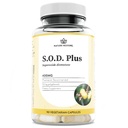 Nature Restore S.O.D. Superoxide Dismutase Supplement, 4.000 IE SOD-like Activity, Vegan, 90 Capsules, Non-GMO, Glutenvrij