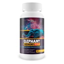 Elephant Memory Hack - Our Best Brain Supplement for Mental Alertness, Memory, Focus, & Concentration - Daily Brain Booster Supplement - Focus Iq Memo Boost Mental Clarity and Focus Supplements