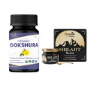 ORGANIC SPREE Gokshuradi Guggulu & Pure Himalayan Shilajit Resin – 120 Tablets & 20g – Ayurvedic Health Formula with 85+ Trace Mineral Fulvic Acid Resin