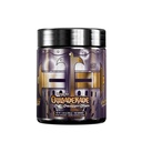 Gamer Supps GG Energy - Crusaderade by SwaggerSouls (100 Servings) - Keto Friendly Gaming Energy and Nootropic Blend, Sugar Free + Organic Caffeine + Vitamins + Immune Support, Powder Drink