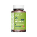 Safrel Irish Sea Moss Gummies 3000mg with Bladderwrack and Burdock Root, Thyroid Energy and Immune Support, Vegan Raspberry Flavor, 60 Gummies