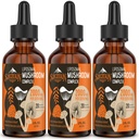 Liposomal Mushroom Complex Drops 2000 MG - 20 Biologische Paddestoelen Extracten - Advanced Liquid Formula for Immunity, Cognitive and Memory - Lions Mane Supplement, Reishi, Cordyceps, Chaga, 90 Servings