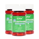 CAW Nano Cycloastragenol 10Mg Activation de la télomérase Anti-Aging