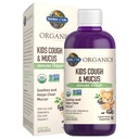 Garden of Life Organics Elderberry & Zinc for Children's Immune Support, Kids Cough & Mucus Immune Sirop avec Ivy Leaf, Vitamine C et Echinacea pour enfants, sans alcool, sans sucre ajouté, 3,92 fl oz