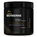DLNIA Liposomal Berberine Supplement – 3X Strength Berberine Matrix with DHB, Phospholipids, CoQ10, ALA, Vitamin D3, Chromium, Cinnamon – Advanced GLP-1 & Metabolic Support – 60 Count