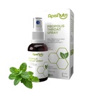 Propolis Throat Spray Mint Flavor Natural Bee Propolis with Honey and Vitamins B9 & B12 Sore Throat Relief and Fresh Breath Spray Brazilian Wellness Formula (1.0 oz)