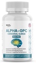 Alpha GPC Cerebral Surge 500 mg – Nootropic Brain Supplement for Men & Women | Bioavailable Choline for Memory, Focus & Cognitive Support | Non-GMO, Gluten Free, 60 Capsules, Made in USA