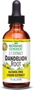 Botanische keuze Dandelion Root, Alcoholvrij Liquid Extract-Traditional Ondersteuning voor lever Gezondheid, Reiniging toxines, Hulp Digestie-1 Fluid Ounce