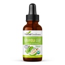 Herbal Goodness Organic Soursop Graviola Leaf Extract 1oz – 15X Concentrated Guanabana Liquid Tincture | USDA Organic & Kosher Certified | Supports Cell and Immune Wellness | Soursop Bitters Liquid